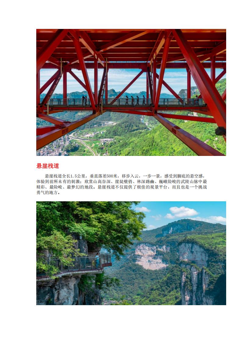 活动图片 40